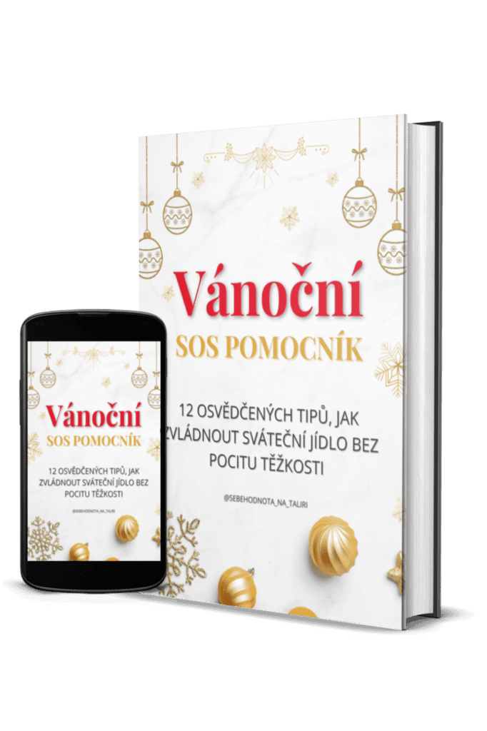 Mock-up Vánočního SOS průvodce na mobilu.